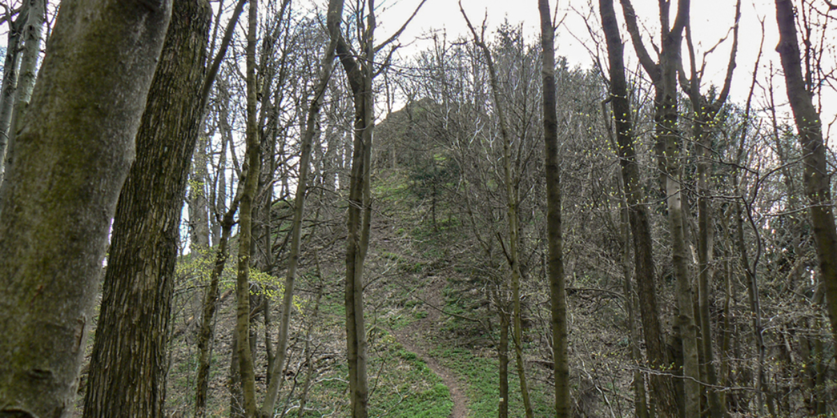 Ruiny zamku Rogowiec, góra Grzmiąca. 2008 r.